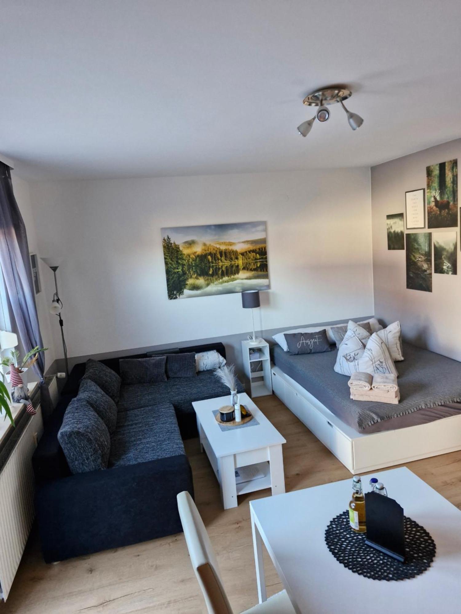 Apartment Mit Garten Bad Lauterberg im Harz Exterior foto